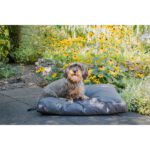 Coussin chien jardin – photo 2