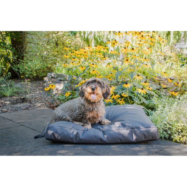 Coussin chien jardin – photo 2