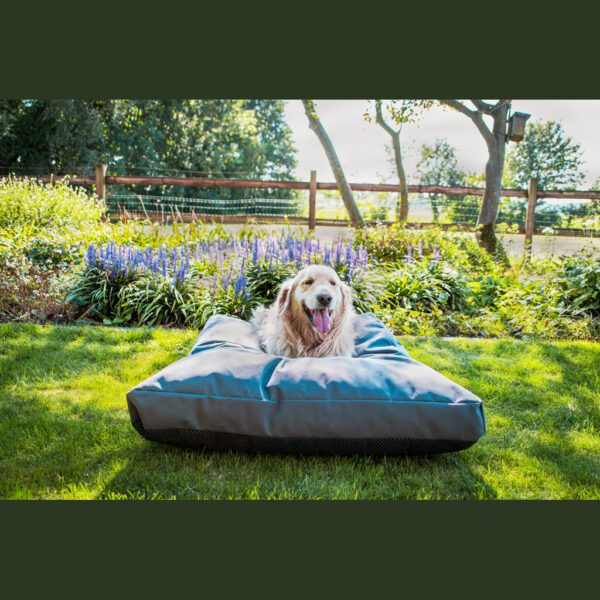 Coussin chien jardin – photo 5