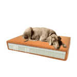 Coussin chien mémoire de forme – photo 1