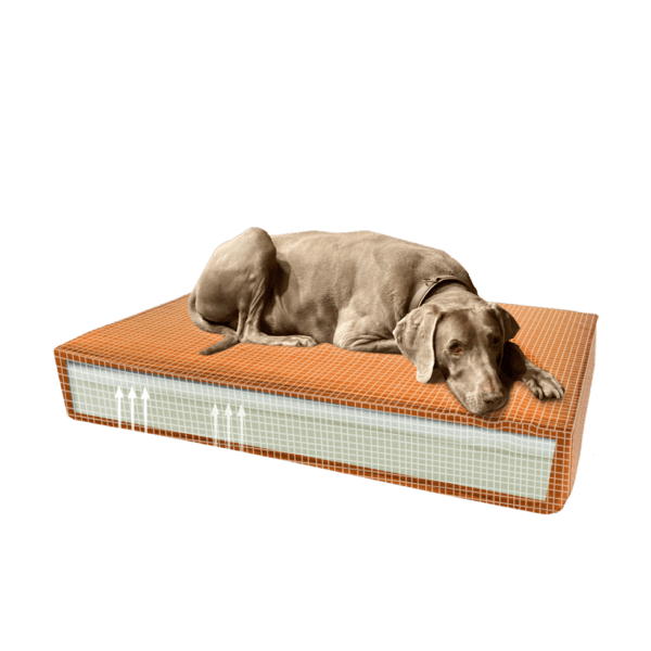 Coussin chien mémoire de forme – photo 1