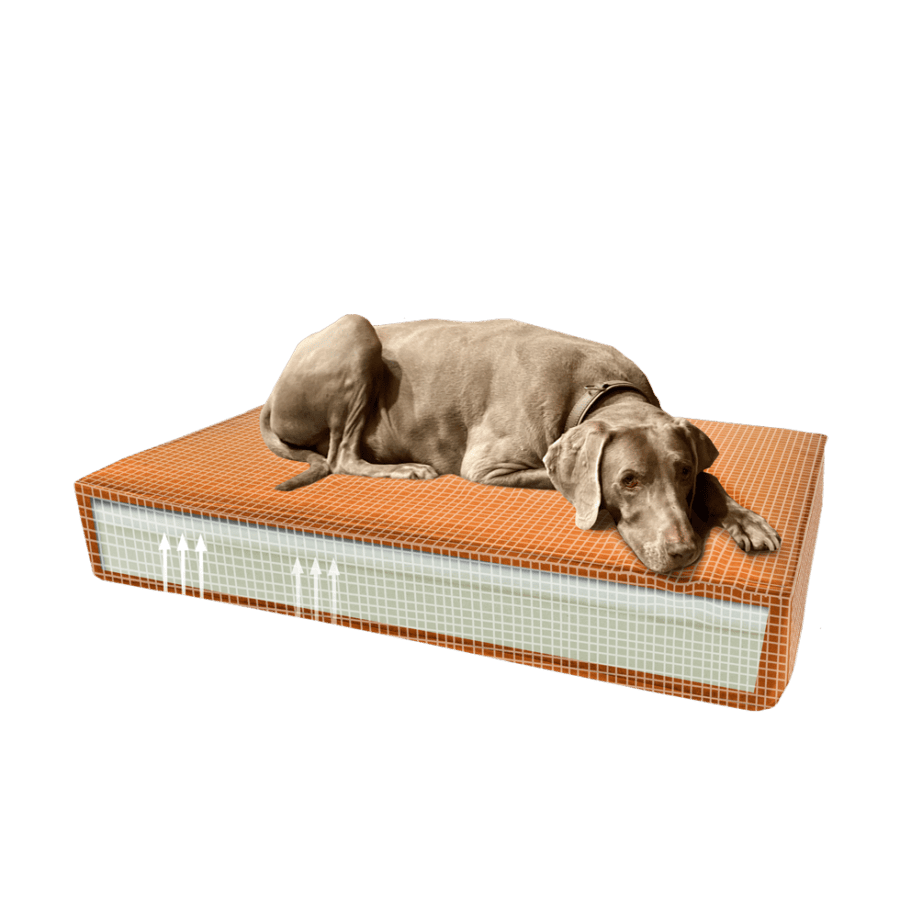 Coussin chien mémoire de forme – photo 1
