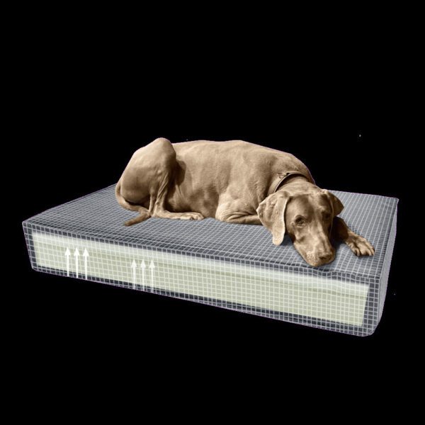 Coussin chien mémoire de forme – photo 4