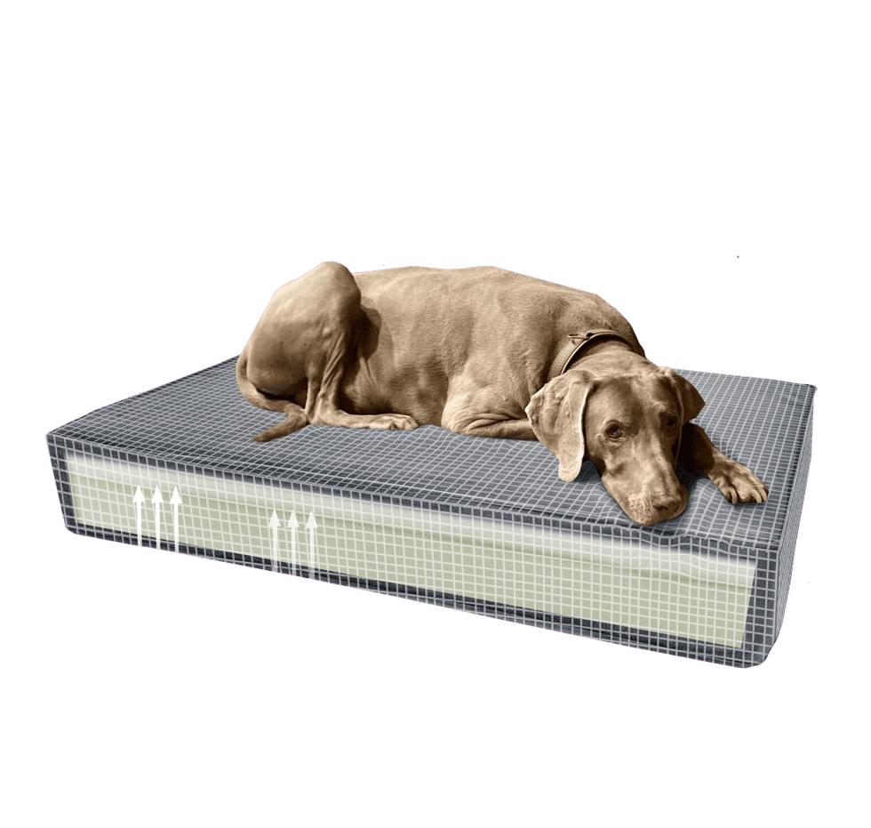 Coussin chien mémoire de forme – photo 4
