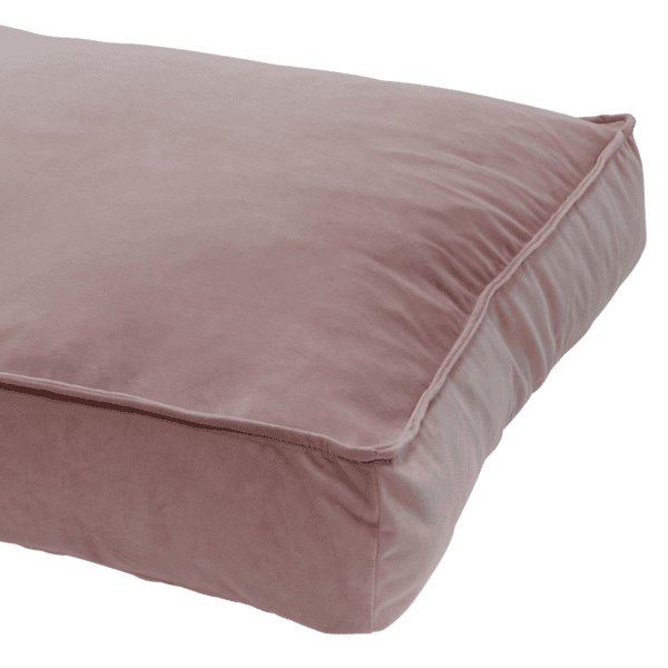 Coussin velours chien – photo 1