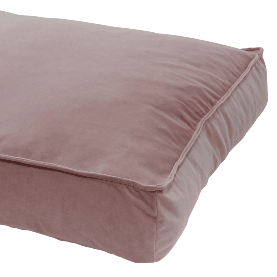Coussin velours chien – photo 1
