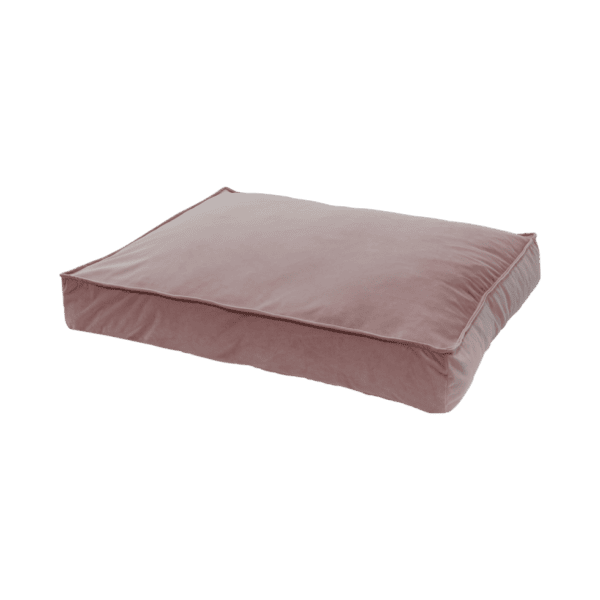 Coussin velours chien – photo 2