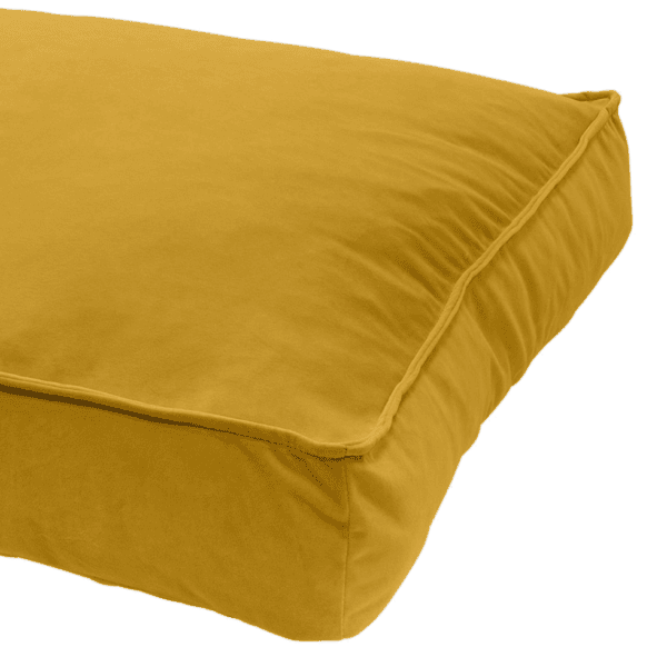 Coussin velours chien – photo 4