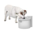 Fontaine à eau chien sans fil – photo 2
