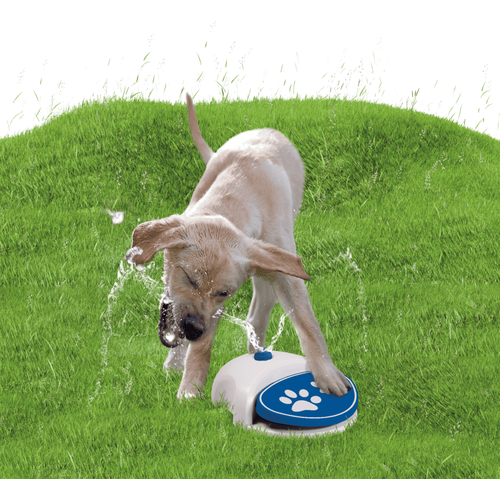 Fontaine de jardin chien – photo 3