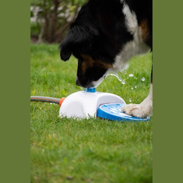 Fontaine de jardin chien – photo 4