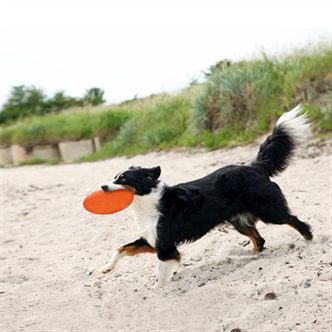 Frisbee chien caoutchouc vert – photo 5