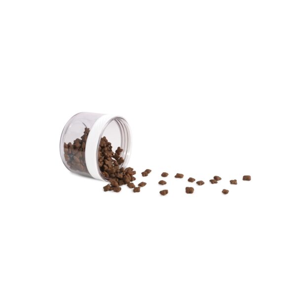 Gourde inox pour chien – photo 3