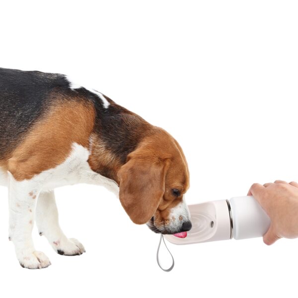 Gourde inox pour chien – photo 5
