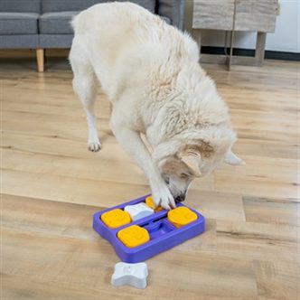 Jeu intelligence chien brick – photo 2