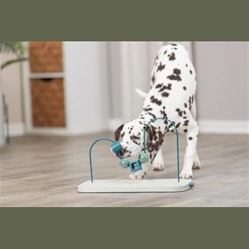Jeu intelligence chien skills loop – photo 3