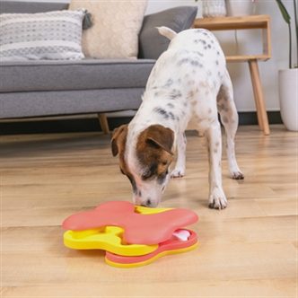 Jeu intelligence chien tornado – photo 2