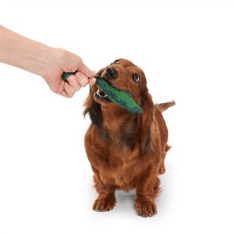 Jouet chien feuille nylon – photo 2