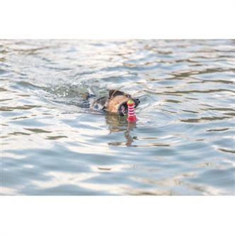 Jouet flottant chien phare grand – photo 6
