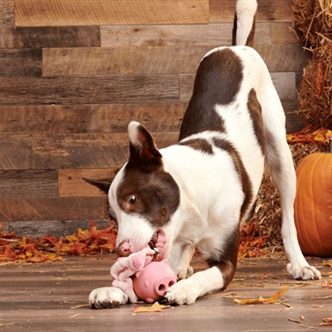 Jouet chien cochon friandises caoutchouc – photo 3
