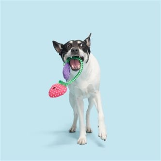 Peluche chien fraise – photo 3