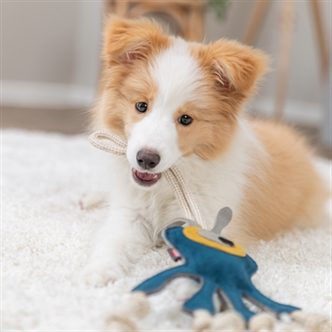 Jouet chien monstre cuir corde – photo 4