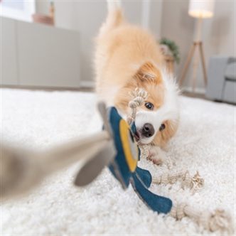 Jouet chien monstre cuir corde – photo 5