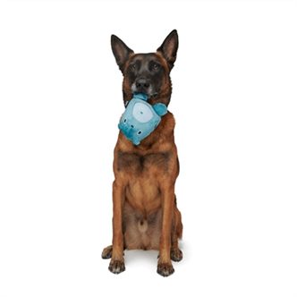 Jouet chien ours noyau caoutchouc – photo 3