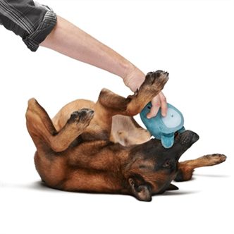 Jouet chien ours noyau caoutchouc – photo 4