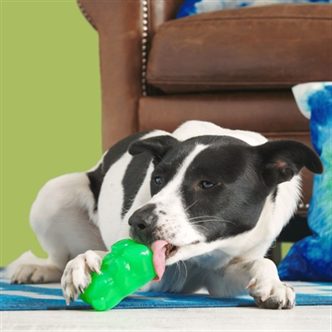 Jouet chien ours orange caoutchouc friandises – photo 2