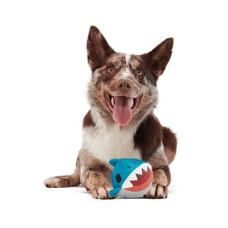 Jouet chien requin flottant – photo 3