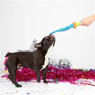 Jouet chien serpentin fête – photo 4