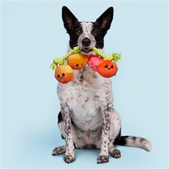Jouet tomates chien corde – photo 3
