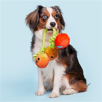 Jouet tomates chien corde – photo 4