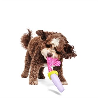 Jouet chien trompette de fête – photo 4