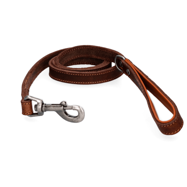 Laisse en cuir Spotted! Pro – photo 4
