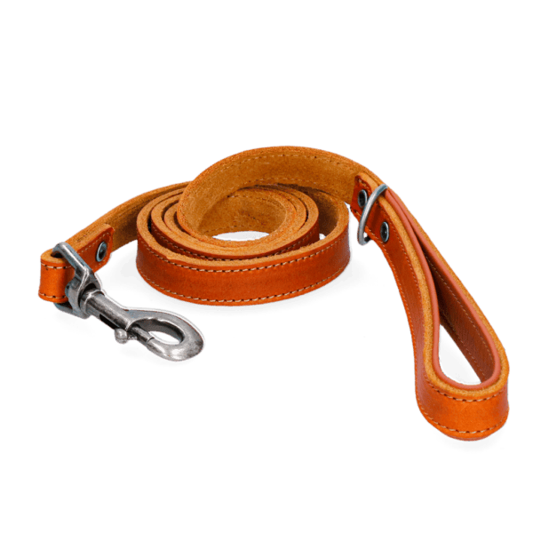 Laisse en cuir Spotted! Pro – photo 6