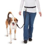 Laisse mains libres pour chien – photo 3