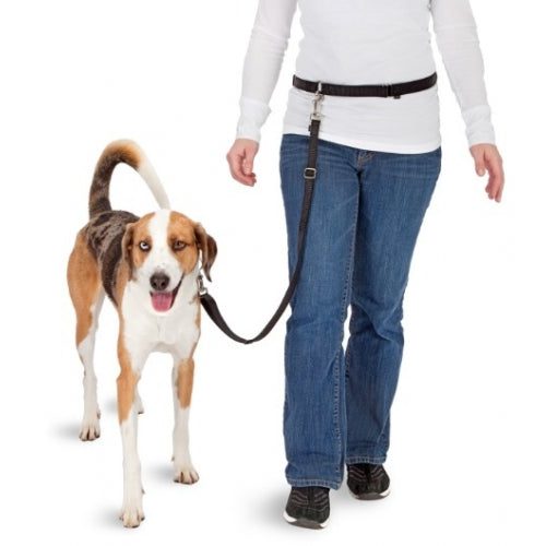 Laisse mains libres pour chien – photo 3