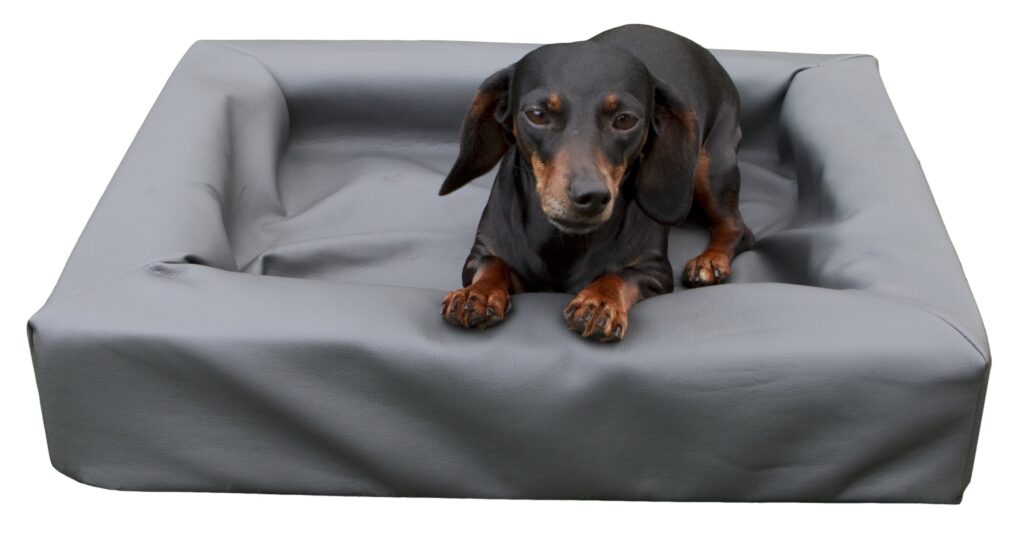 Lit chien imperméable – photo 3