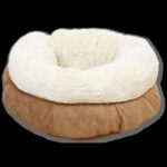 Lit donut chat – photo 1