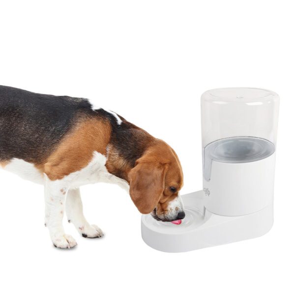 Lot abreuvoir par gravité Lifestyle 4 Pets et gamelle Wobble Bowl – photo 2