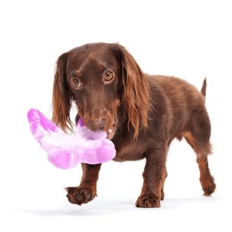 Jouet chien corde – photo 4