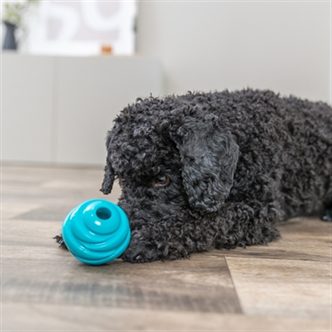 Jouet chien corde – photo 7