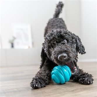 Jouet chien corde – photo 8