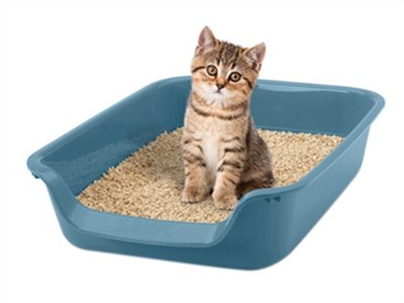 Caisse litiere chaton – photo 4
