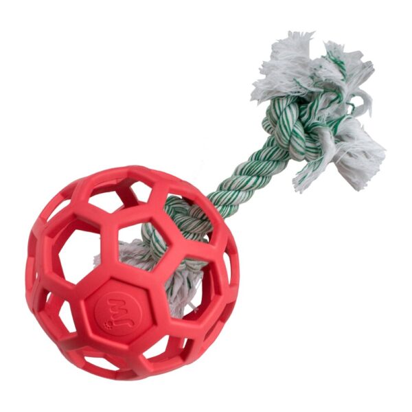 Lot balle Hol-ee Roller et ballon lumineux K-Nite pour chien – photo 2