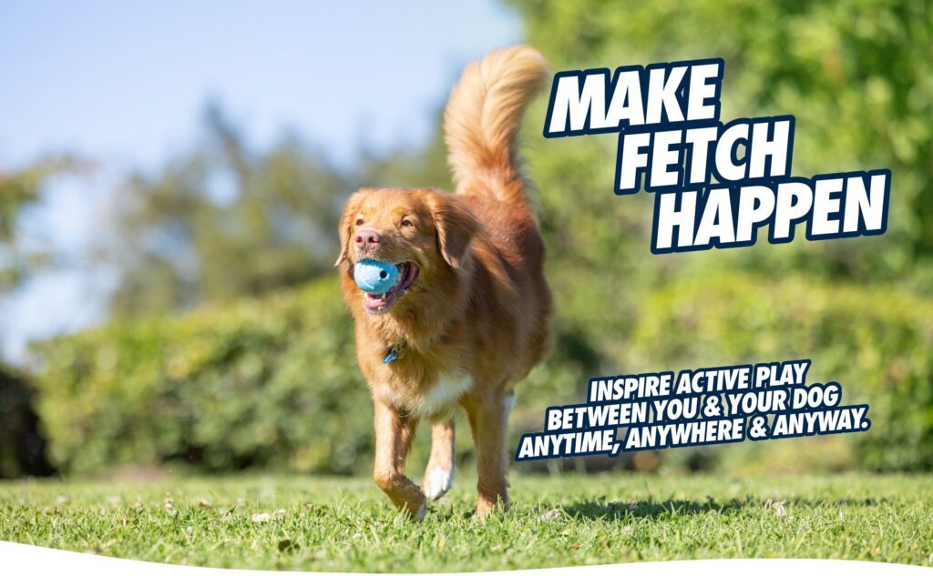 Lot balle œuf Meta Ball et balles Fetch Medley pour chien – photo 4