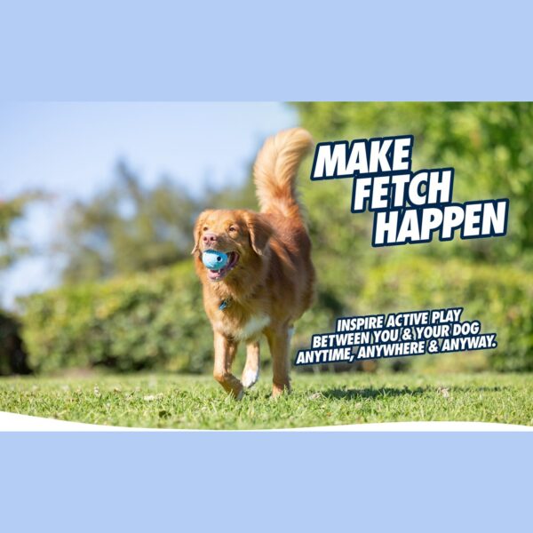Lot balle œuf Meta Ball et balles Fetch Medley pour chien – photo 4