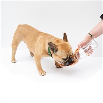 Gamelle pliable pour chien – photo 6